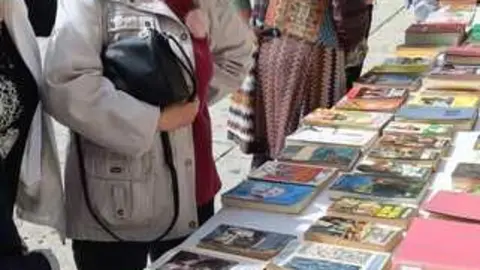 D&iacute;a del Libro en Fermoselle _13