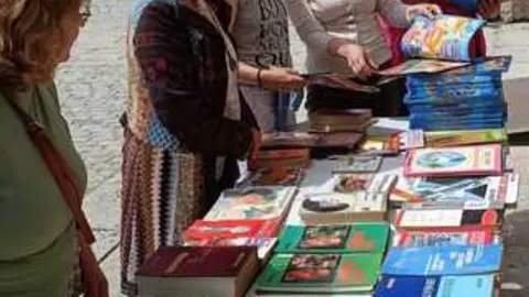 D&iacute;a del Libro en Fermoselle _14