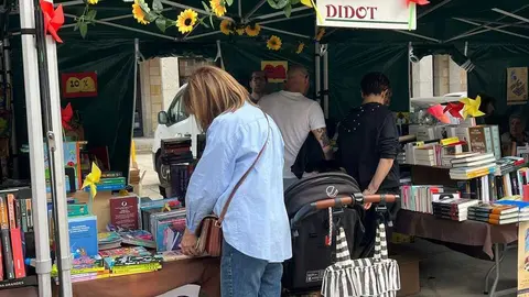 D&iacute;a del Libro Zamora _7