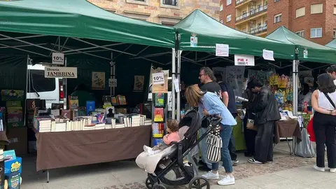 D&iacute;a del Libro Zamora _13