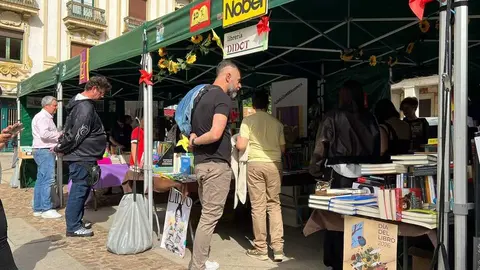 D&iacute;a del Libro Zamora _15