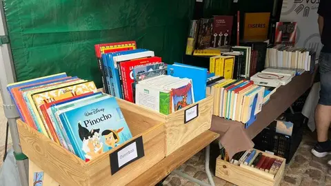 D&iacute;a del Libro Zamora _25