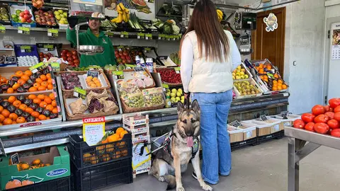 Usuaria perro gu&iacute;a en fruter&iacute;a