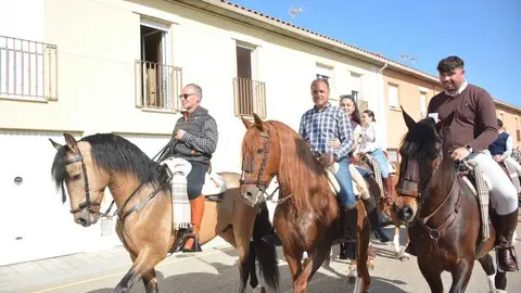 camino flamenco Moraleja _34