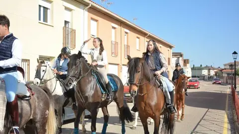 camino flamenco Moraleja _38