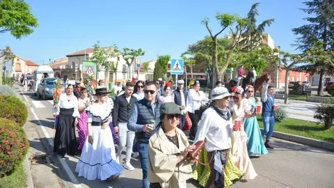camino flamenco Moraleja _48