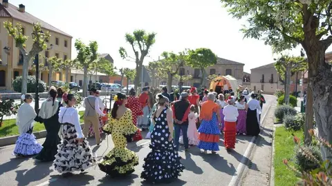 camino flamenco Moraleja _51