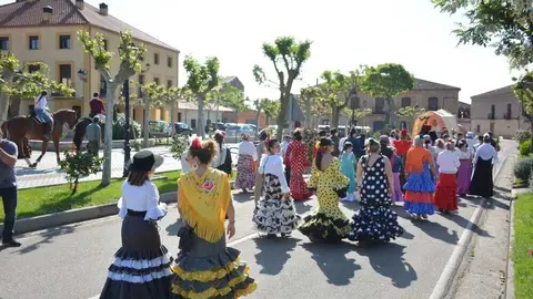 camino flamenco Moraleja _54