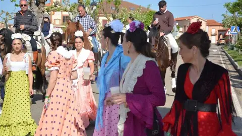 camino flamenco Moraleja _69