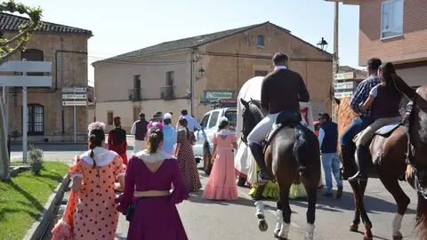 camino flamenco Moraleja _74