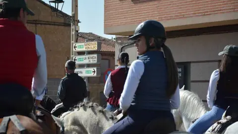 camino flamenco Moraleja _76