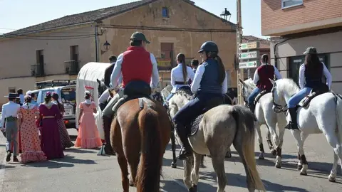 camino flamenco Moraleja _77
