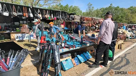 Romer&iacute;a de la Luz Moveros _6