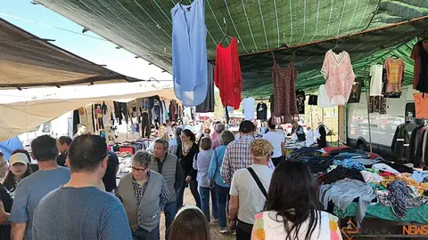 Romer&iacute;a de la Luz Moveros _8