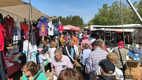 Romer&iacute;a de la Luz Moveros _10