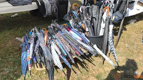 Romer&iacute;a de la Luz Moveros _13