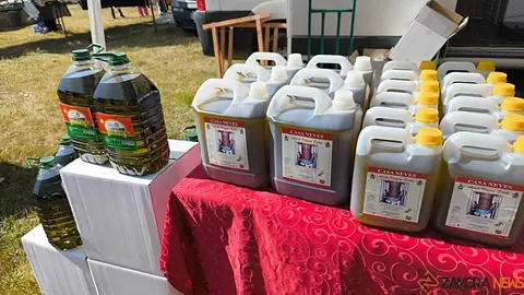 Romer&iacute;a de la Luz Moveros _14