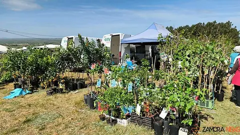 Romer&iacute;a de la Luz Moveros _22