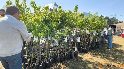 Romer&iacute;a de la Luz Moveros _26