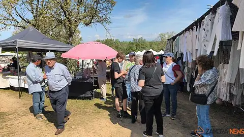 Romer&iacute;a de la Luz Moveros _28