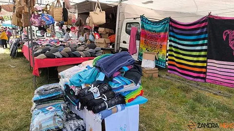 Romer&iacute;a de la Luz Moveros _30