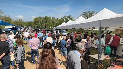 Romer&iacute;a de la Luz Moveros _35