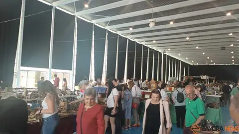 I Feria de Antig&uuml;edades y Coleccionismo Vintage_27