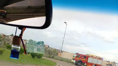 caida de &aacute;rbol en Carrascal