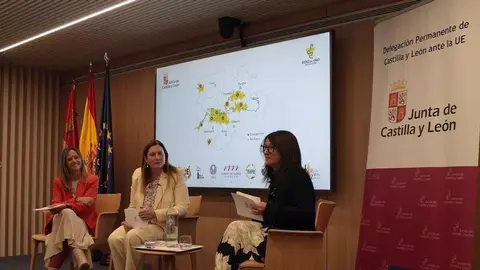 Ruta del Vino Arribes Bruselas