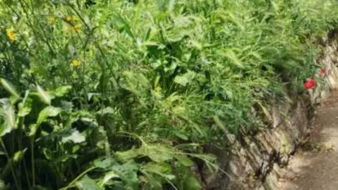 Parque Consejo de Europa