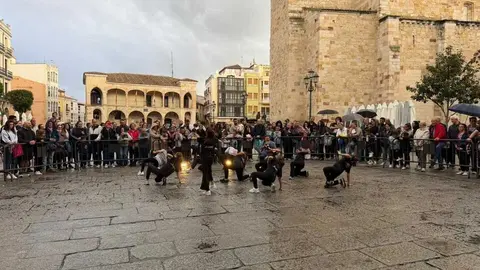 Sals&oacute;n Dance D&iacute;a de la Danza Plaza Mayor de Zamora _28