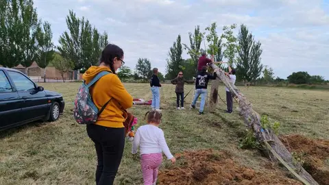 Quintos3
