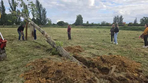 Quintos