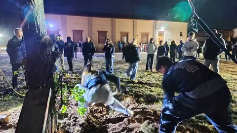 loa quintos echan tierra al &aacute;rbol