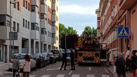 Bomberos rescatan felino