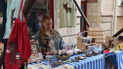 mercado de Balborraz _6