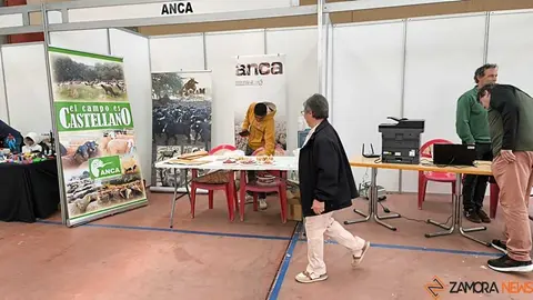 feria de San Miguel en Carbajales de Alba _20