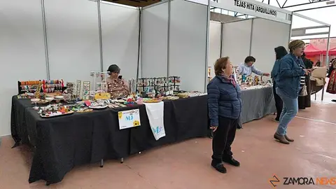 feria de San Miguel en Carbajales de Alba _31