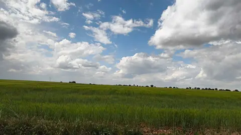 campos 2