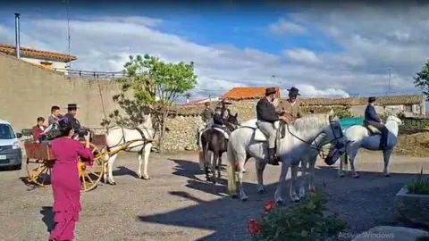 camino flamenco