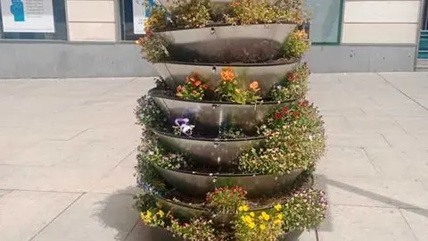 Jardineras Zamora flores arrancadas