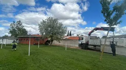 Obras nuevo gimnasio Moraleja del Vino