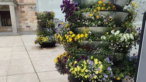 Jardineras en la plaza de la Constituci&oacute;n de Zamora