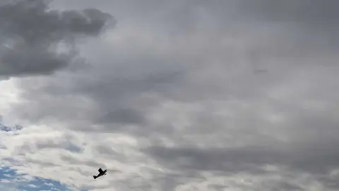 Cocentraci&oacute;n Internacional de Jets y Grandes Modelos Coreses