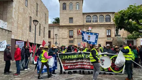 Manifestaci&oacute;n contra las plantas de biog&aacute;s Zamora _2