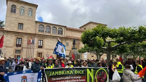 Manifestaci&oacute;n contra las plantas de biog&aacute;s Zamora _3