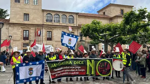 Manifestaci&oacute;n contra las plantas de biog&aacute;s Zamora _7
