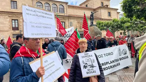 Manifestaci&oacute;n contra las plantas de biog&aacute;s Zamora _8