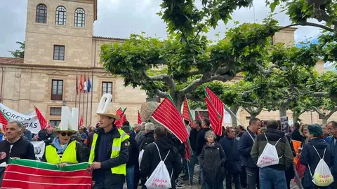 Manifestaci&oacute;n contra las plantas de biog&aacute;s Zamora _10