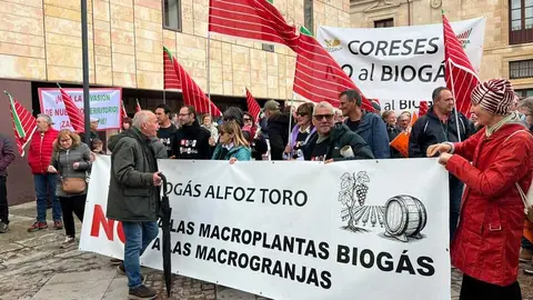 Manifestaci&oacute;n contra las plantas de biog&aacute;s Zamora _15